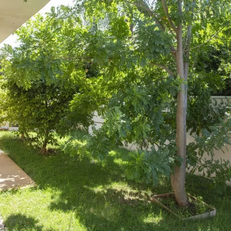 Uni_03_Campinas (6)
